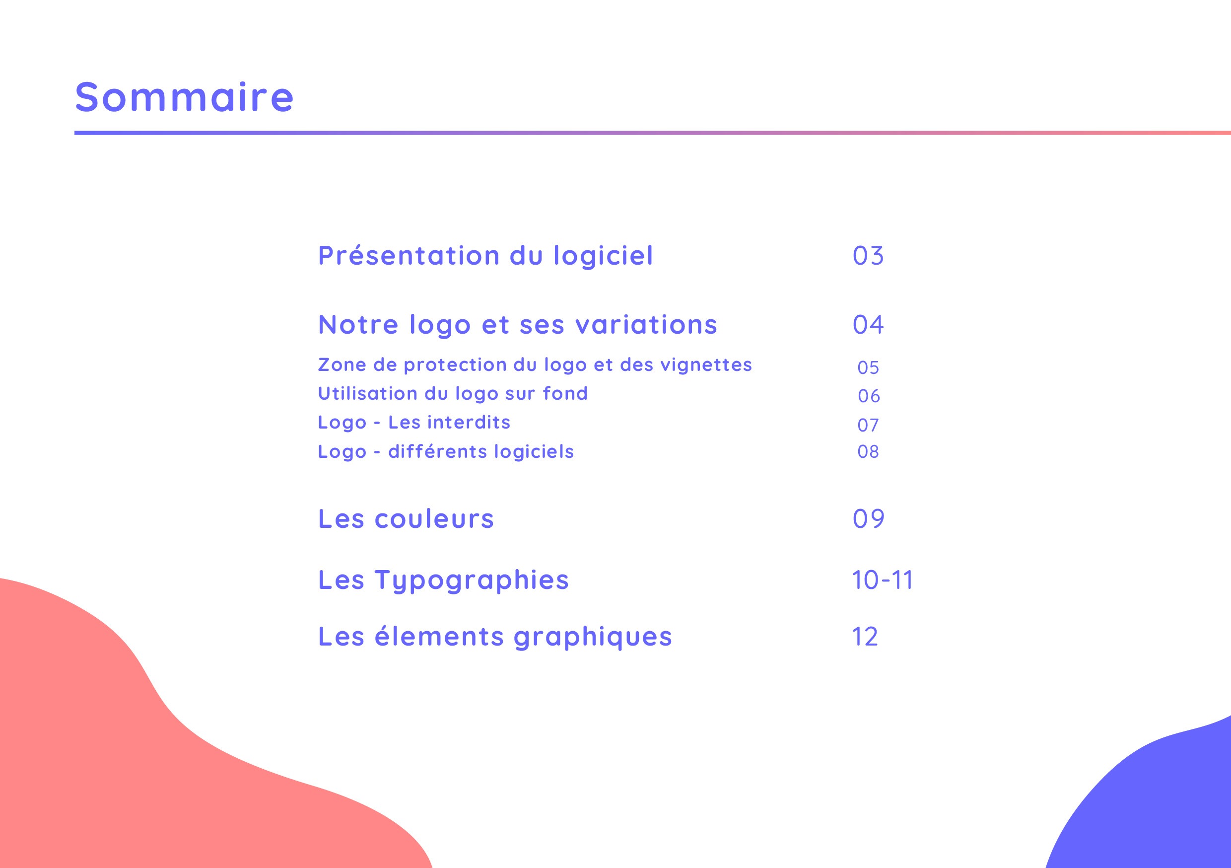 NETETHIC_CharteGraphique20232